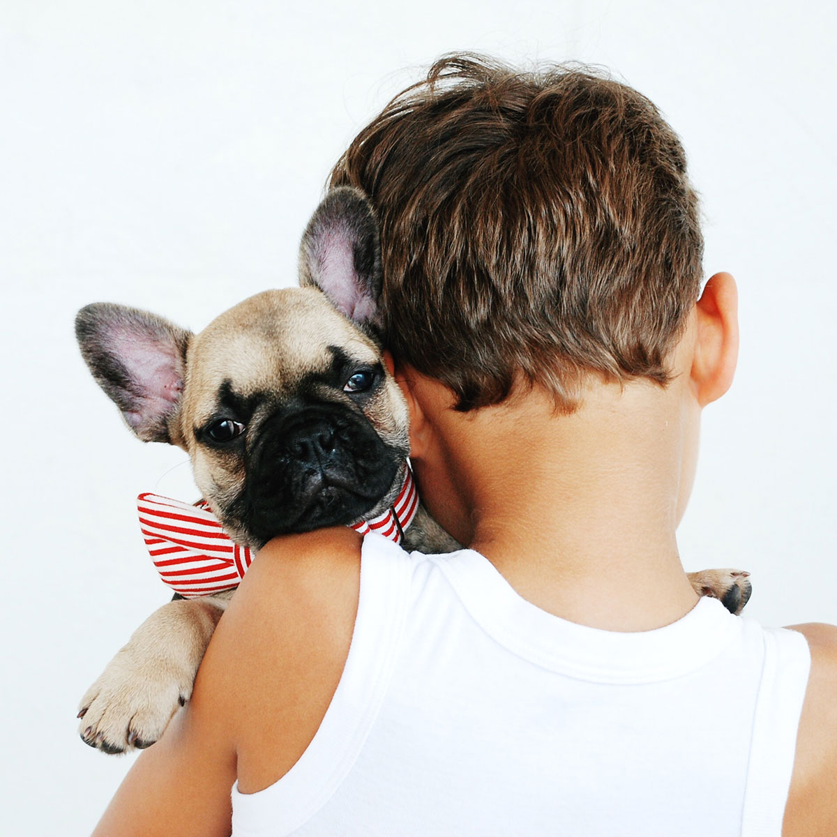 Child Holding a Dog Child Holding a Dog