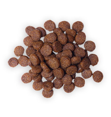 Dog Food 5 Dog Food 5